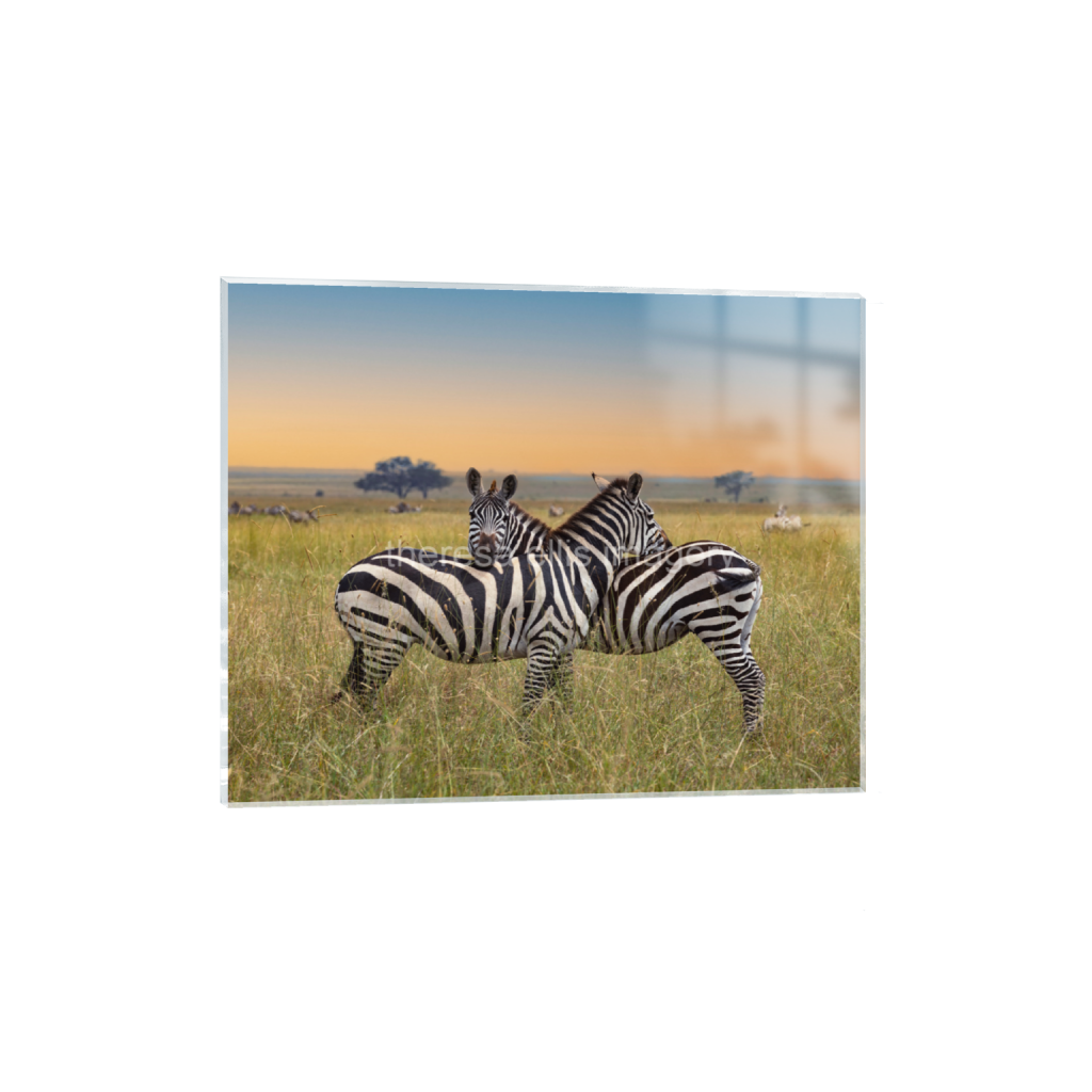 ptq_17_6_1249_0_12498_9999_0_false_ffffff_0_0_5c8a65ded2a0bd5ee7c2169a49639388.png