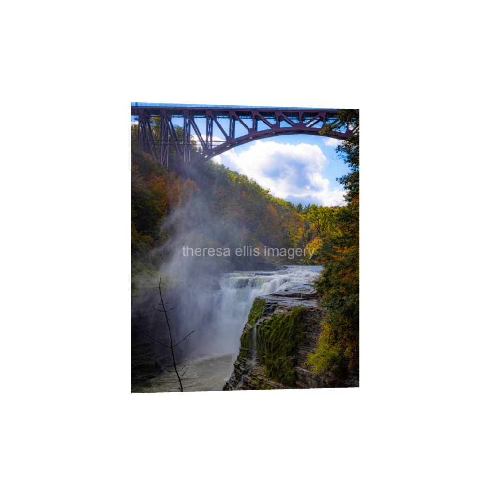 ptq_1_6_0_2364_18918_23647_0_false_ffffff_0_0_5c8a65ded2a0bd5ee7c2169a49639388.png
