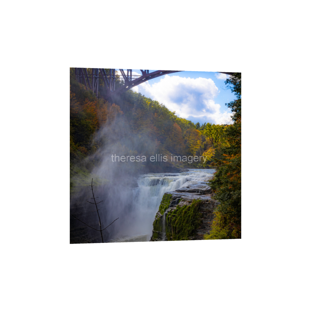 ptq_1_0_0_4729_18918_18918_0_false_ffffff_0_0_5c8a65ded2a0bd5ee7c2169a49639388.png