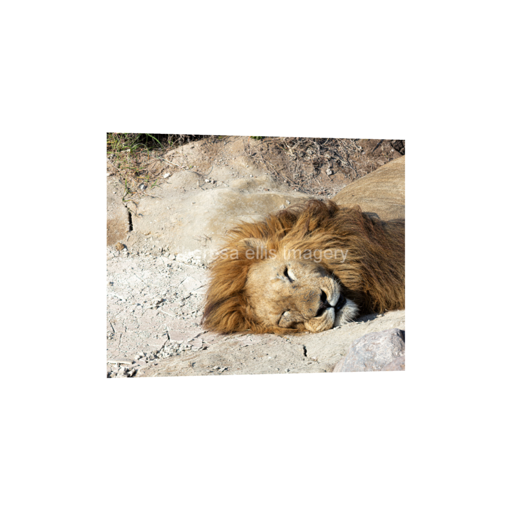 ptq_1_6_560_0_5600_4480_0_false_ffffff_0_0_5c8a65ded2a0bd5ee7c2169a49639388.png