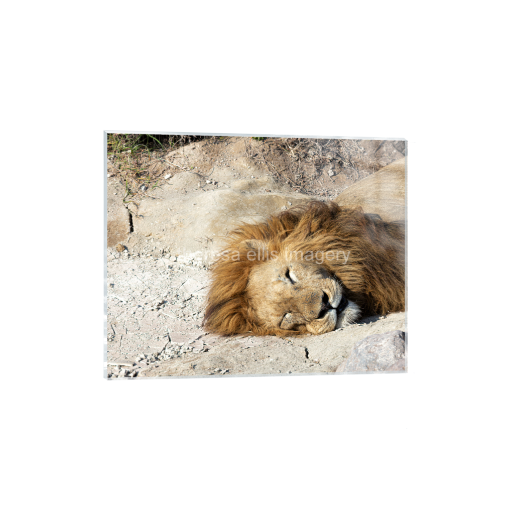 ptq_17_6_560_0_5600_4480_0_false_ffffff_0_0_5c8a65ded2a0bd5ee7c2169a49639388.png