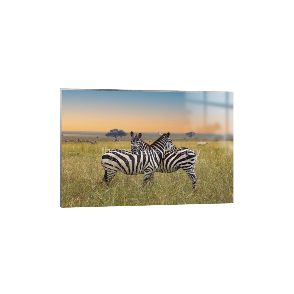 ptq_13_3_0_0_14997_9998_0_false_ffffff_0_0_5c8a65ded2a0bd5ee7c2169a49639388.png