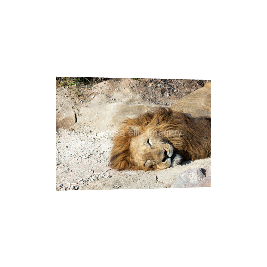 ptq_1_7_224_0_6272_4480_0_false_ffffff_0_0_5c8a65ded2a0bd5ee7c2169a49639388.png