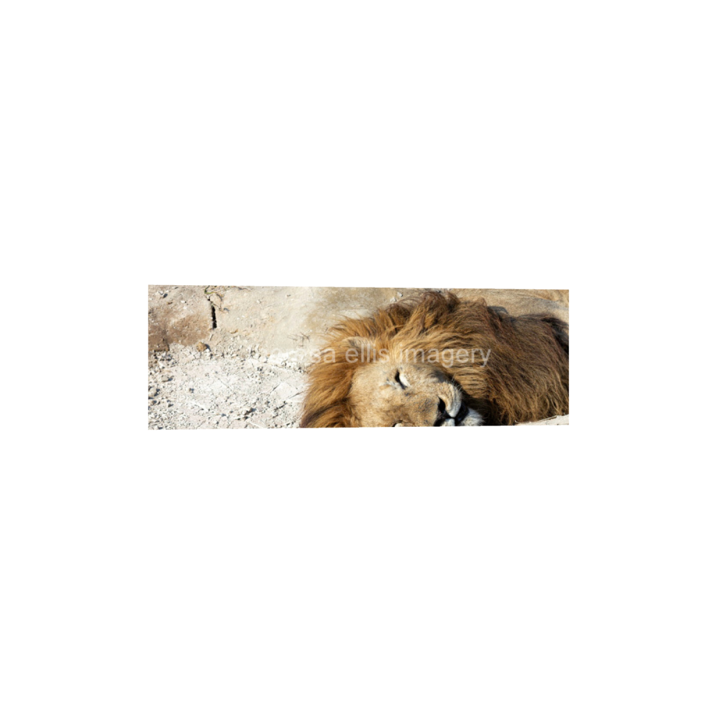 ptq_1_2_0_1120_6720_2240_0_false_ffffff_0_0_5c8a65ded2a0bd5ee7c2169a49639388.png
