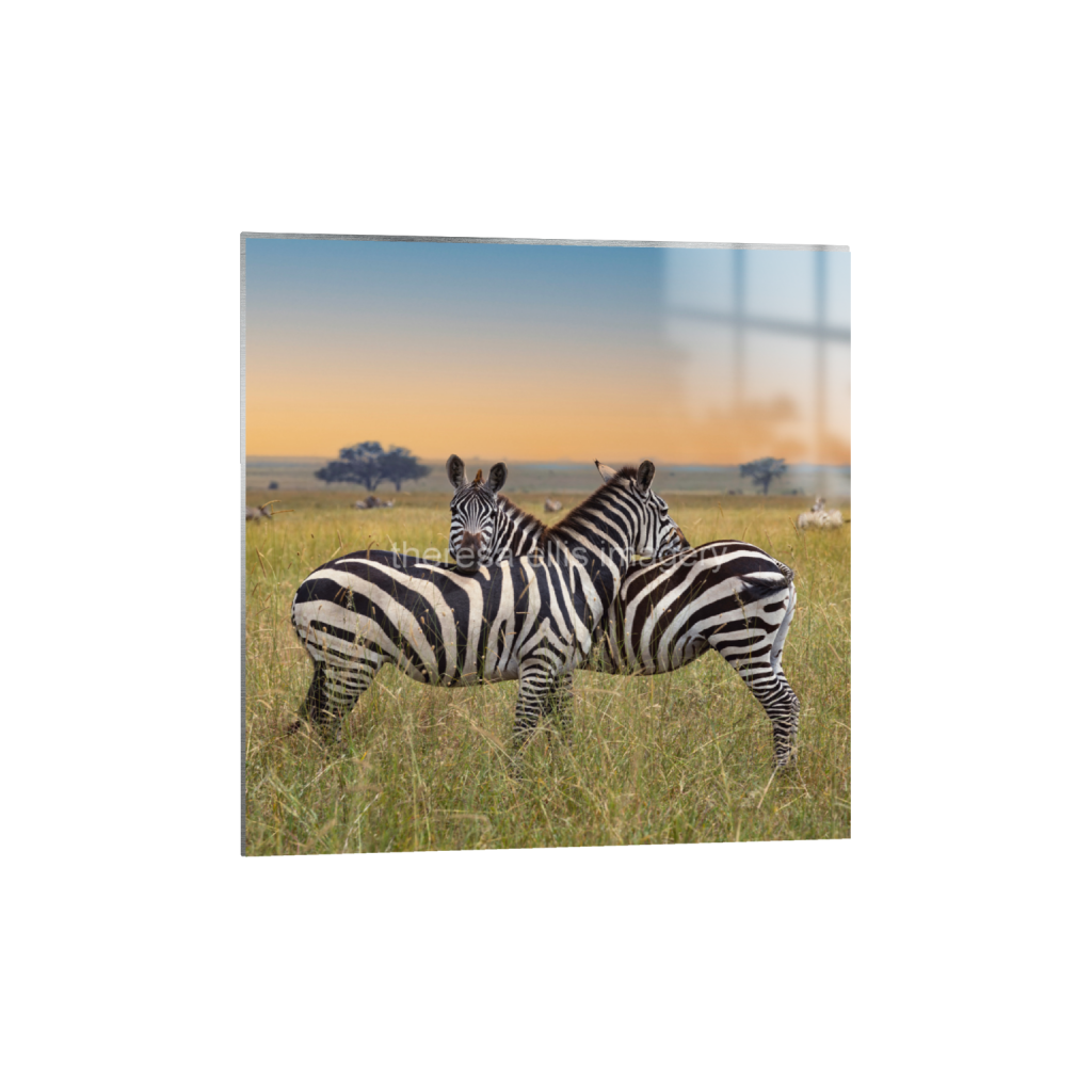 ptq_13_0_2499_0_9999_9999_0_false_ffffff_0_0_5c8a65ded2a0bd5ee7c2169a49639388.png