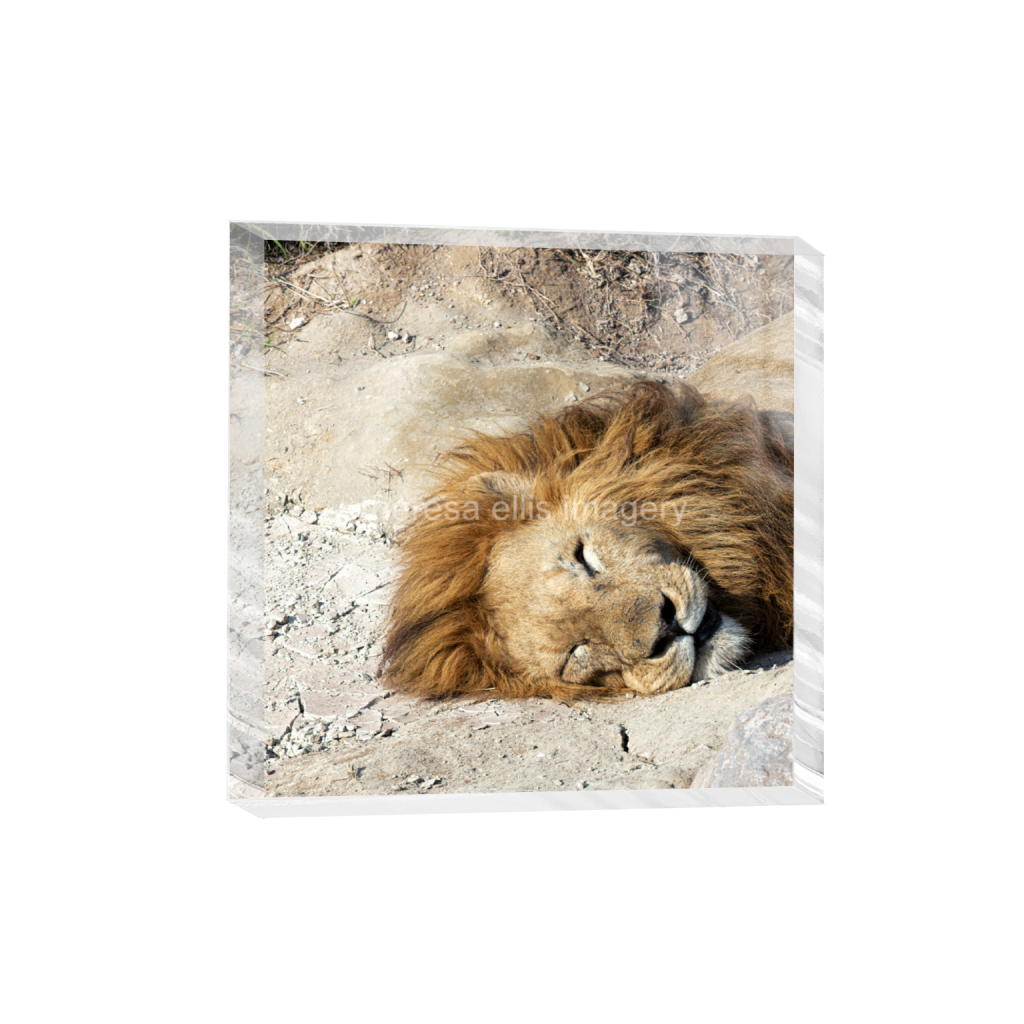 ptq_300_0_1120_0_4480_4480_0_false_ffffff_0_0_5c8a65ded2a0bd5ee7c2169a49639388.png