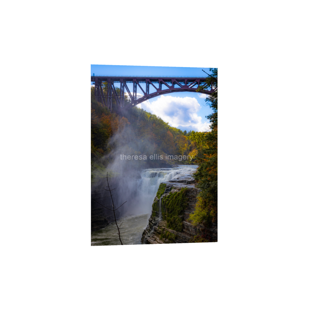 ptq_1_7_0_945_18918_26485_0_false_ffffff_0_0_5c8a65ded2a0bd5ee7c2169a49639388.png