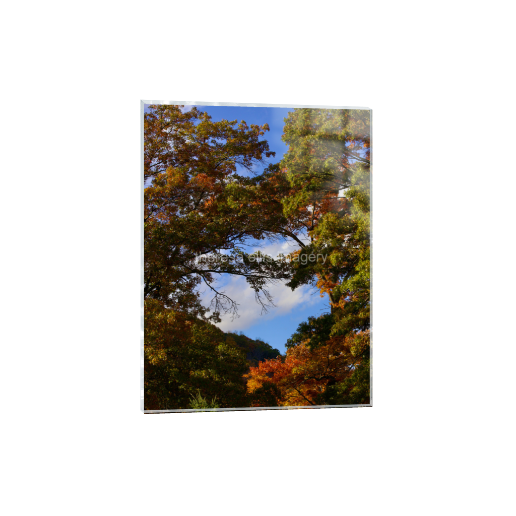 ptq_17_5_0_373_4480_5973_0_false_ffffff_0_0_5c8a65ded2a0bd5ee7c2169a49639388.png