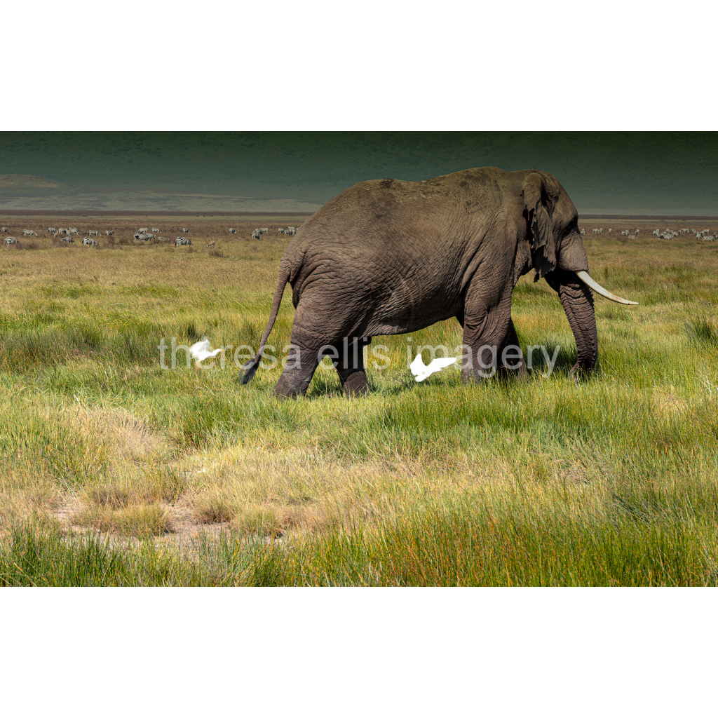 image_original_5c8a65ded2a0bd5ee7c2169a49639388.png