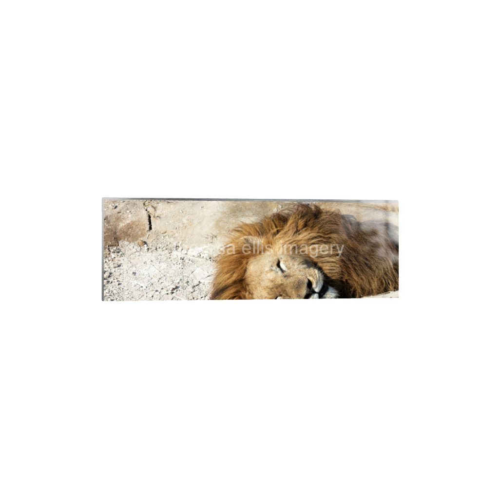 ptq_13_2_0_1120_6720_2240_0_false_ffffff_0_0_5c8a65ded2a0bd5ee7c2169a49639388.png