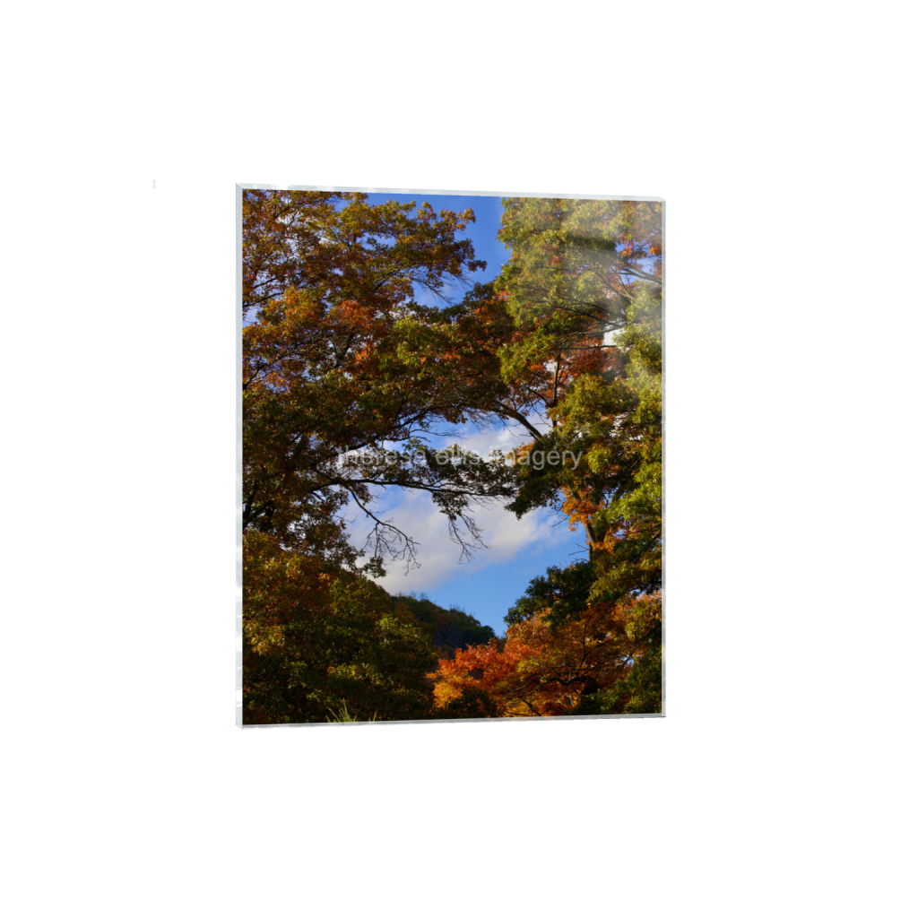 ptq_17_6_0_560_4480_5600_0_false_ffffff_0_0_5c8a65ded2a0bd5ee7c2169a49639388.png