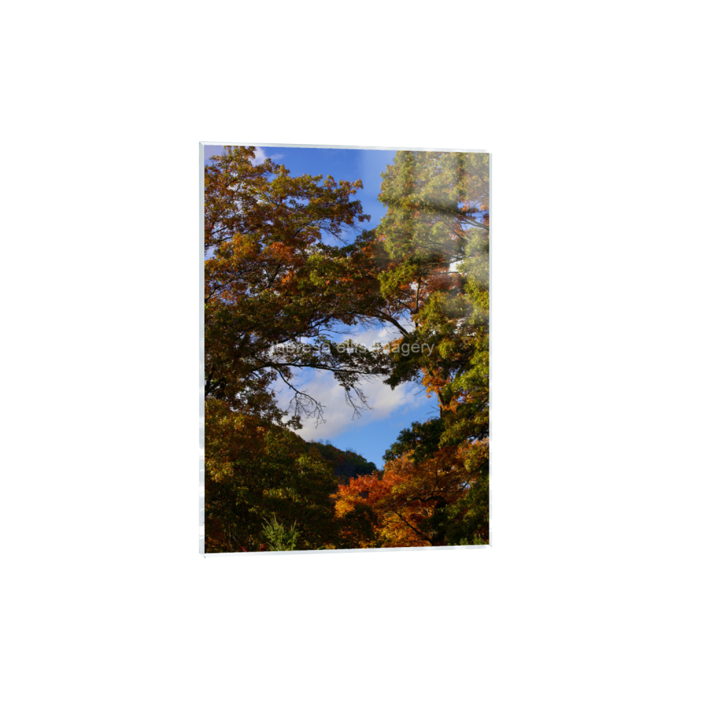 ptq_17_7_0_224_4480_6272_0_false_ffffff_0_0_5c8a65ded2a0bd5ee7c2169a49639388.png