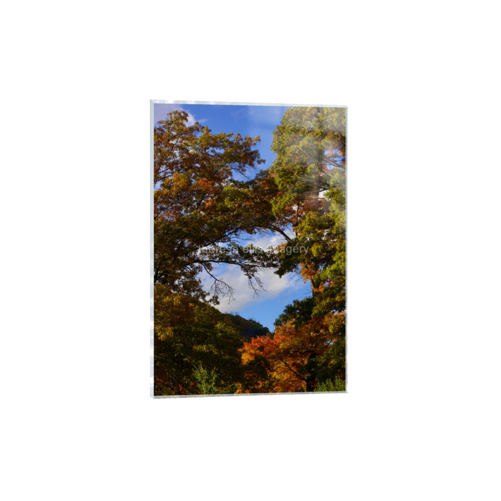 ptq_17_3_0_0_4480_6720_0_false_ffffff_0_0_5c8a65ded2a0bd5ee7c2169a49639388.png