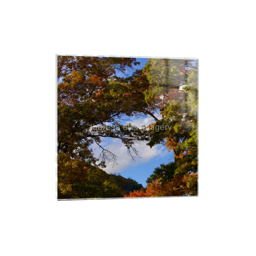 ptq_17_0_0_1120_4480_4480_0_false_ffffff_0_0_5c8a65ded2a0bd5ee7c2169a49639388.png