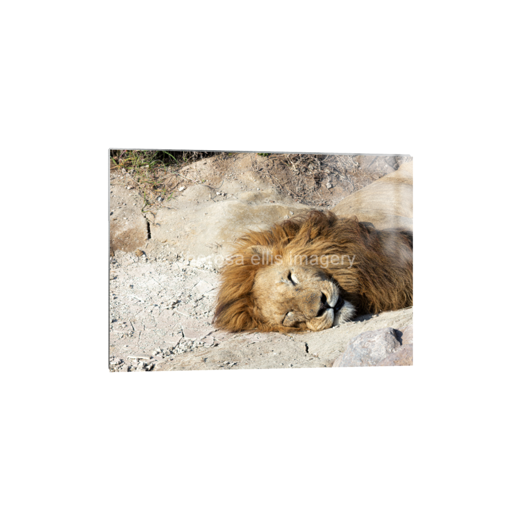 ptq_13_7_224_0_6272_4480_0_false_ffffff_0_0_5c8a65ded2a0bd5ee7c2169a49639388.png