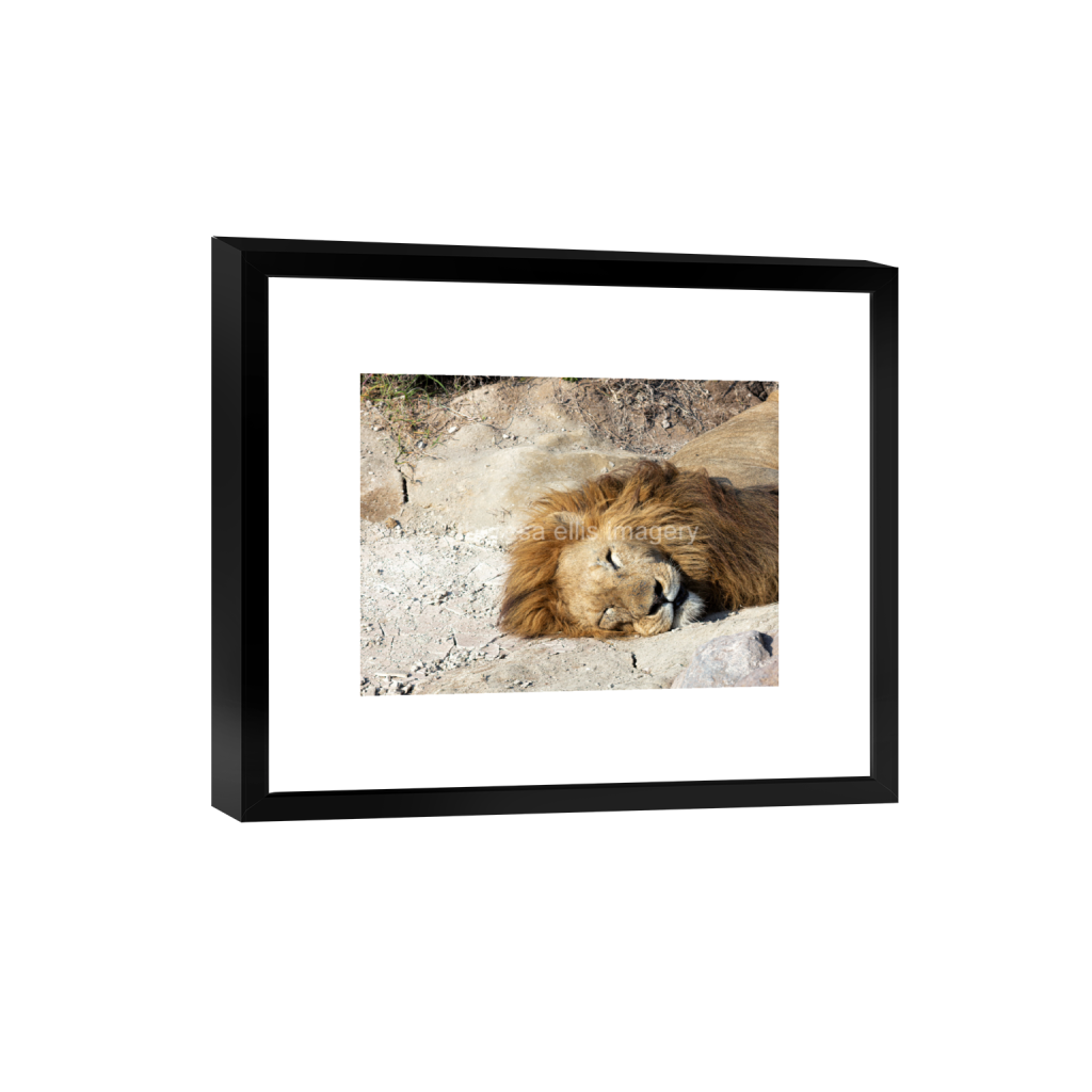 ptq_45_5_373_0_5973_4480_0_false_ffffff_0_0_5c8a65ded2a0bd5ee7c2169a49639388.png