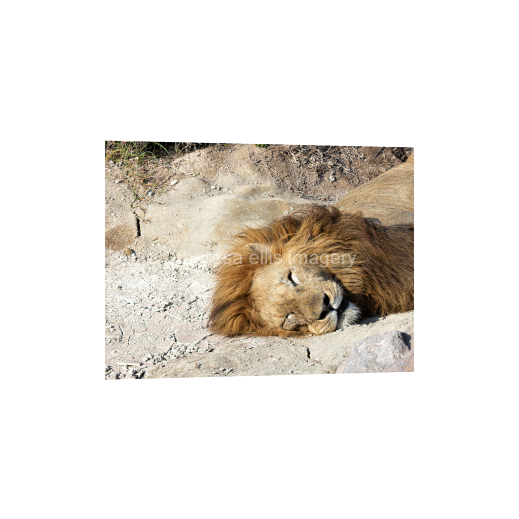 ptq_34_5_373_0_5973_4480_0_false_ffffff_0_0_5c8a65ded2a0bd5ee7c2169a49639388.png