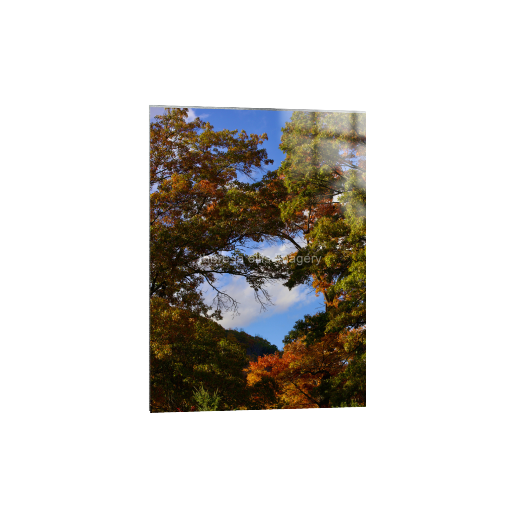 ptq_13_7_0_224_4480_6272_0_false_ffffff_0_0_5c8a65ded2a0bd5ee7c2169a49639388.png
