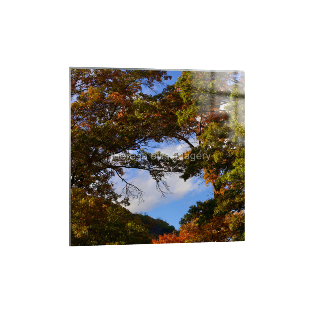 ptq_13_0_0_1120_4480_4480_0_false_ffffff_0_0_5c8a65ded2a0bd5ee7c2169a49639388.png