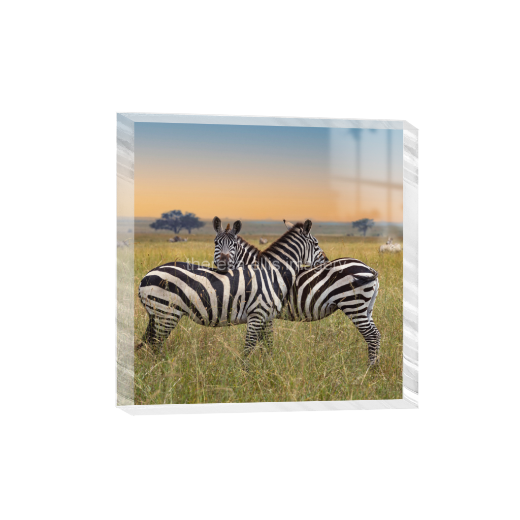 ptq_300_0_2499_0_9999_9999_0_false_ffffff_0_0_5c8a65ded2a0bd5ee7c2169a49639388.png