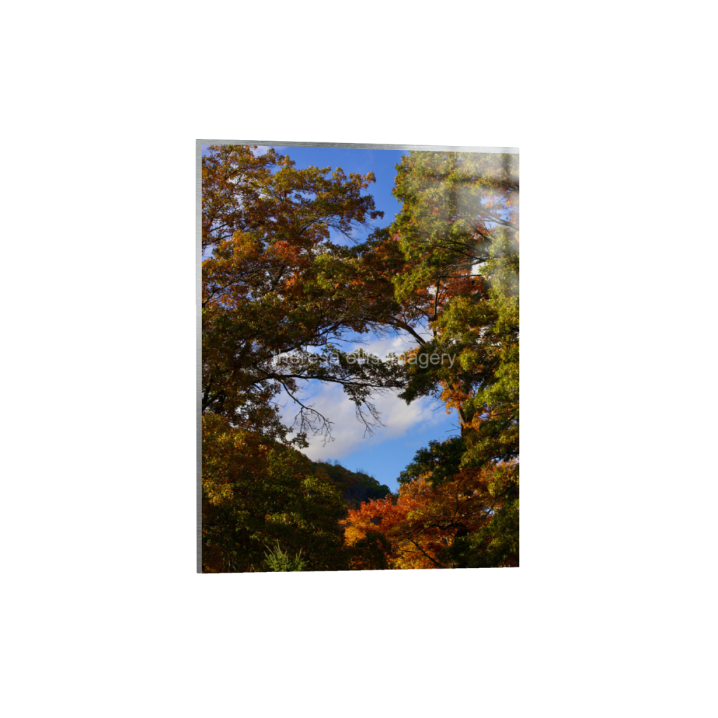 ptq_13_5_0_373_4480_5973_0_false_ffffff_0_0_5c8a65ded2a0bd5ee7c2169a49639388.png