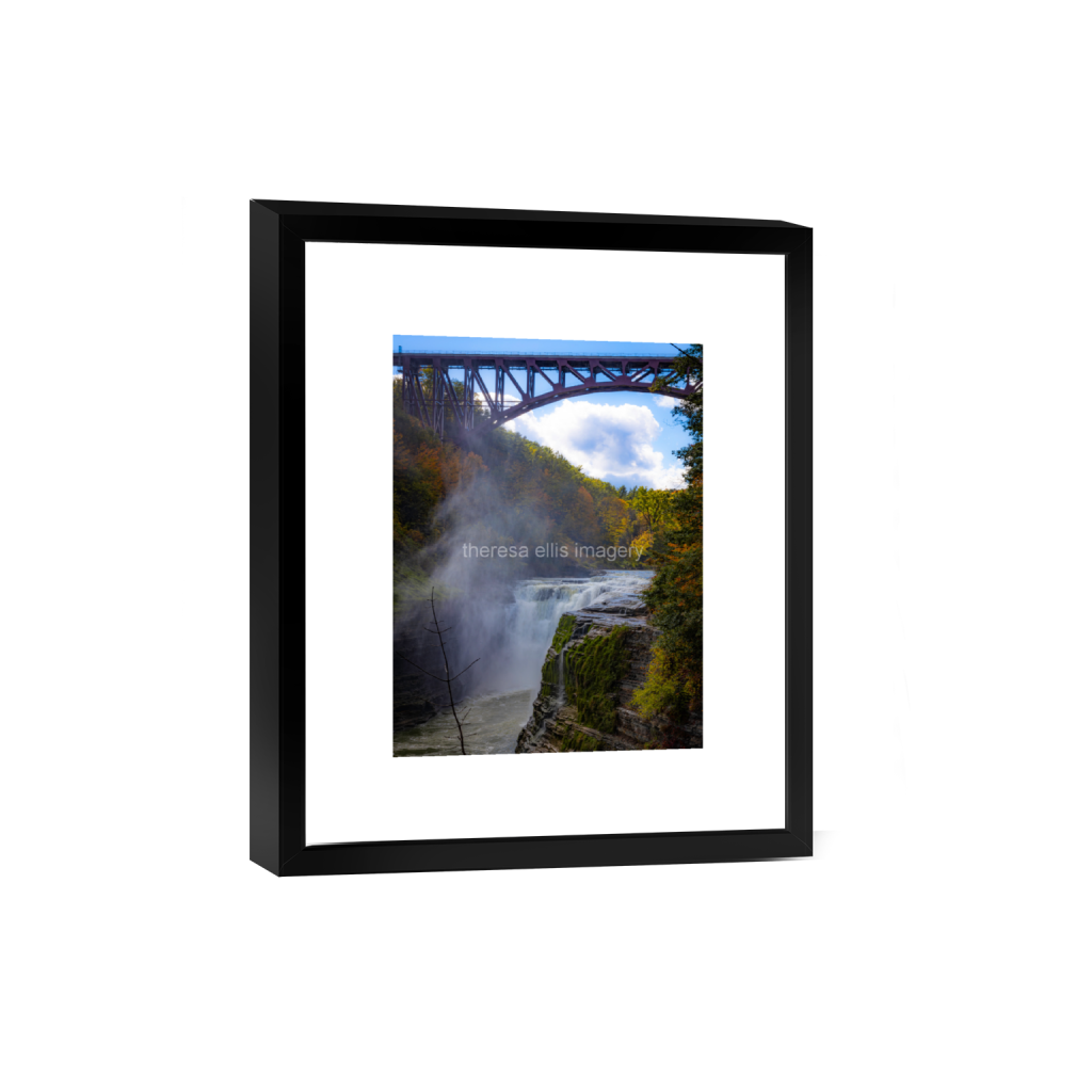 ptq_45_5_0_1576_18918_25224_0_false_ffffff_0_0_5c8a65ded2a0bd5ee7c2169a49639388.png