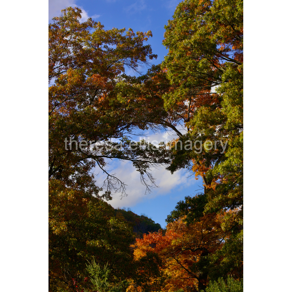 image_original_5c8a65ded2a0bd5ee7c2169a49639388.png