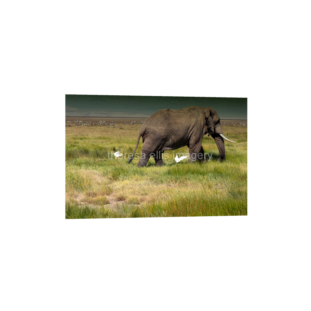ptq_1_3_153_0_6081_4054_0_false_ffffff_0_0_5c8a65ded2a0bd5ee7c2169a49639388.png