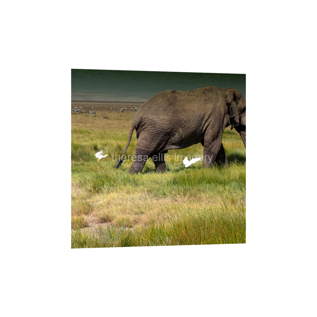 ptq_1_0_1167_0_4054_4054_0_false_ffffff_0_0_5c8a65ded2a0bd5ee7c2169a49639388.png