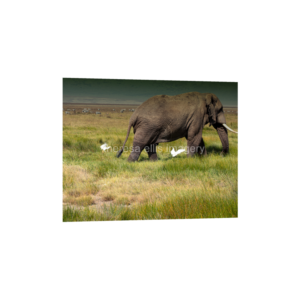 ptq_1_6_660_0_5067_4054_0_false_ffffff_0_0_5c8a65ded2a0bd5ee7c2169a49639388.png