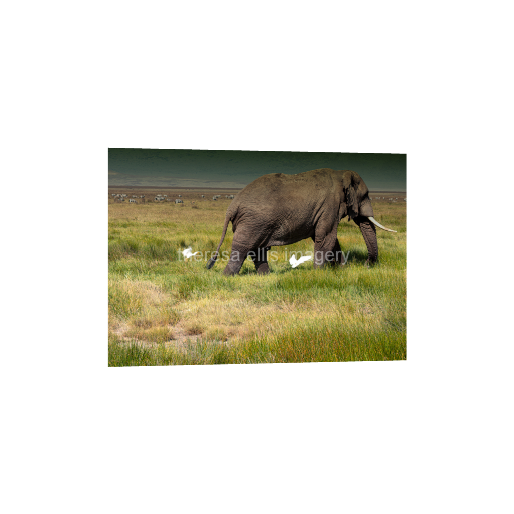 ptq_1_7_356_0_5675_4054_0_false_ffffff_0_0_5c8a65ded2a0bd5ee7c2169a49639388.png