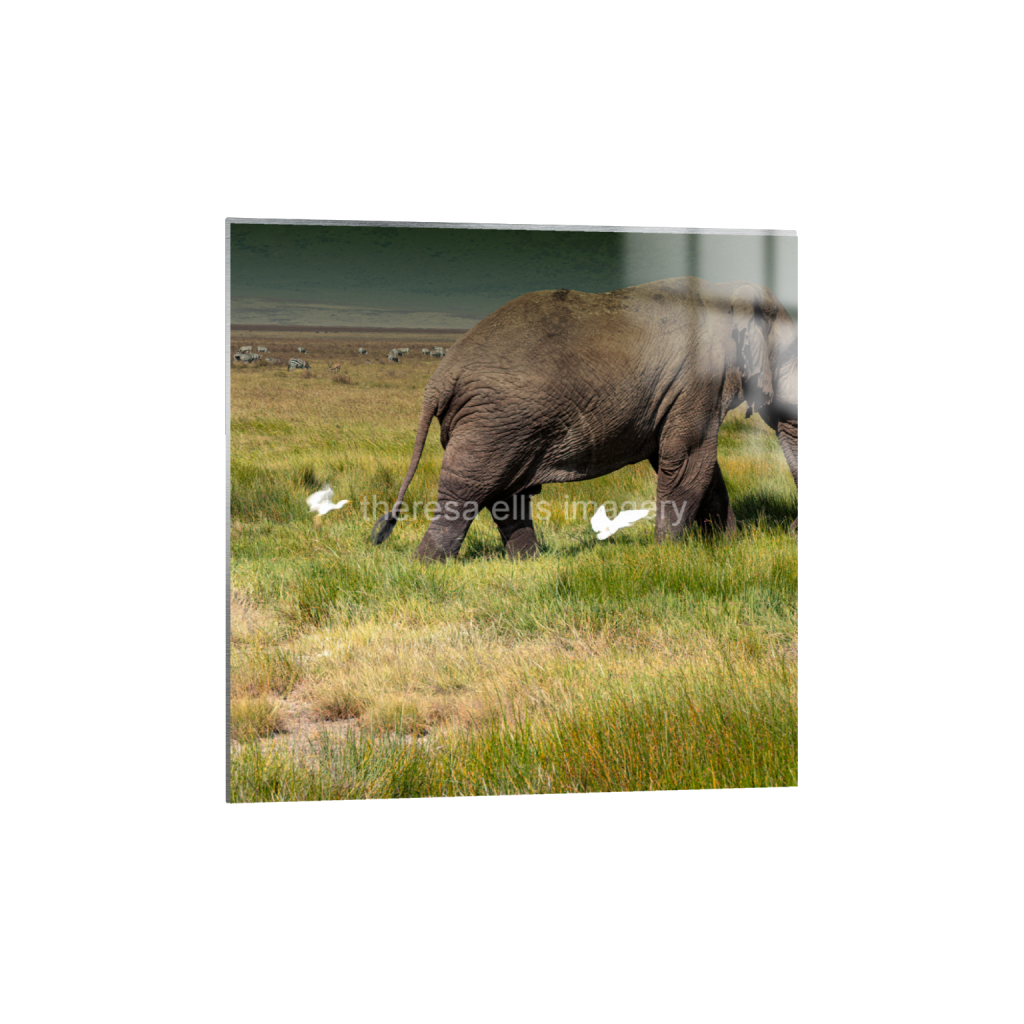 ptq_13_0_1167_0_4054_4054_0_false_ffffff_0_0_5c8a65ded2a0bd5ee7c2169a49639388.png