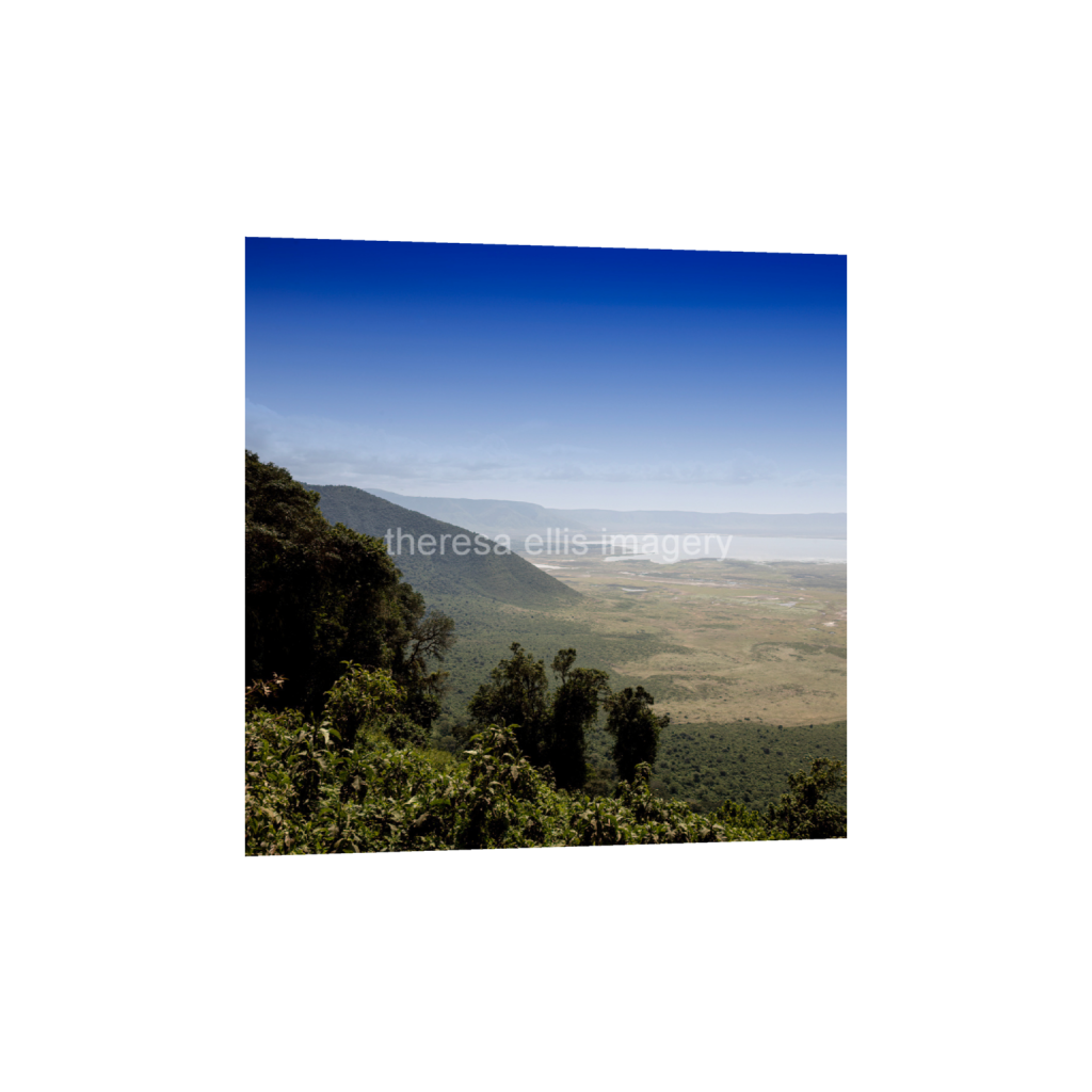 ptq_1_0_1120_0_4480_4480_0_false_ffffff_0_0_5c8a65ded2a0bd5ee7c2169a49639388.png