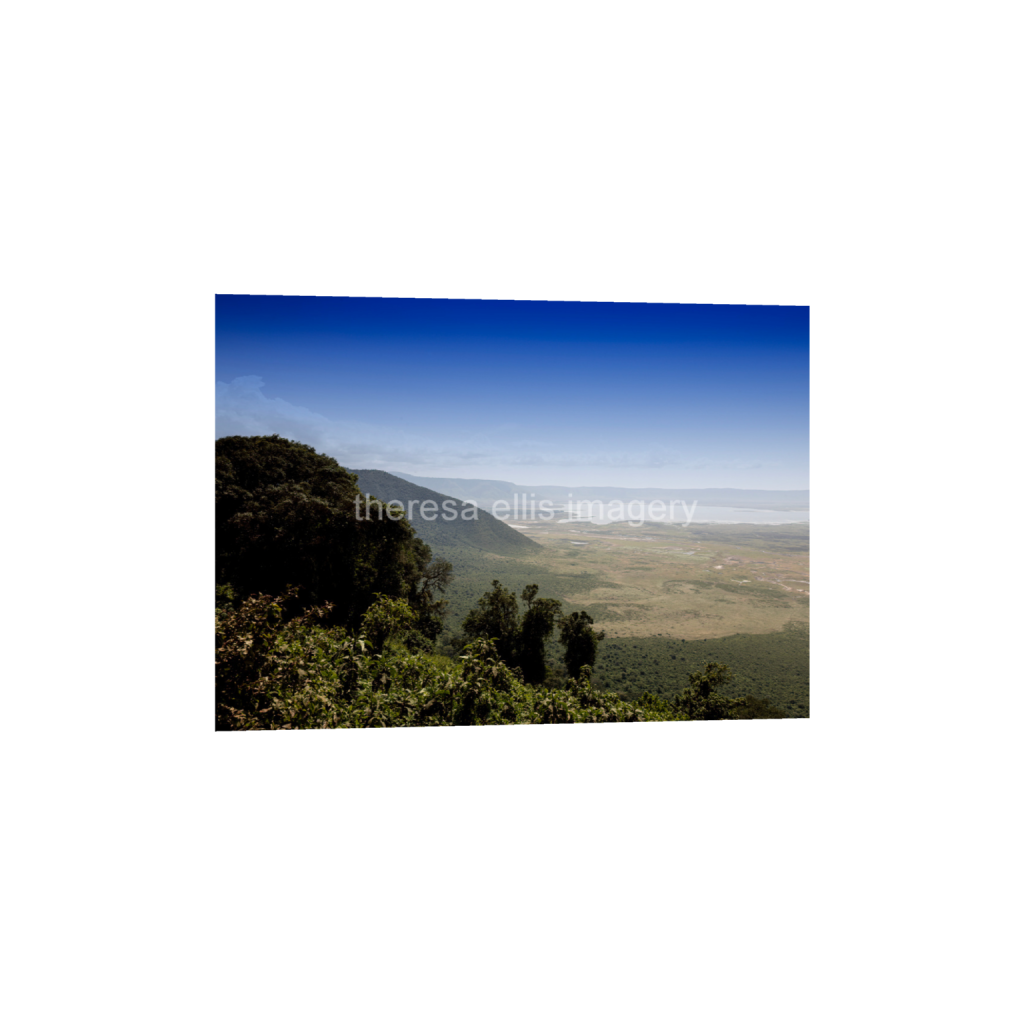ptq_1_7_224_0_6272_4480_0_false_ffffff_0_0_5c8a65ded2a0bd5ee7c2169a49639388.png