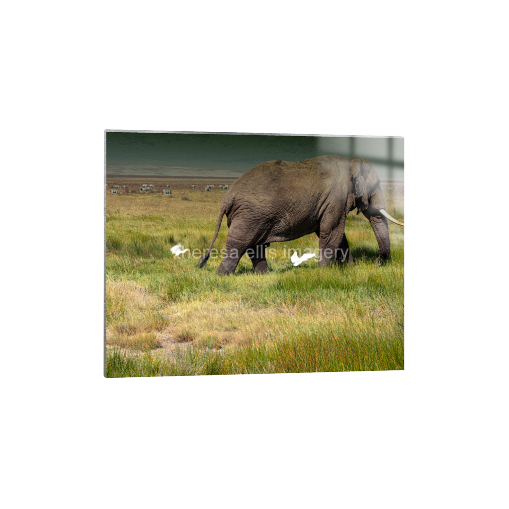 ptq_13_6_660_0_5067_4054_0_false_ffffff_0_0_5c8a65ded2a0bd5ee7c2169a49639388.png