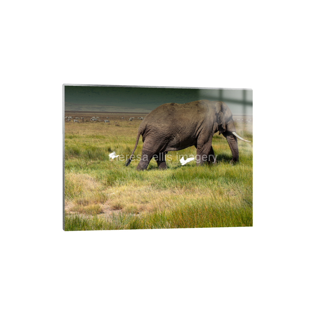ptq_13_5_491_0_5405_4054_0_false_ffffff_0_0_5c8a65ded2a0bd5ee7c2169a49639388.png