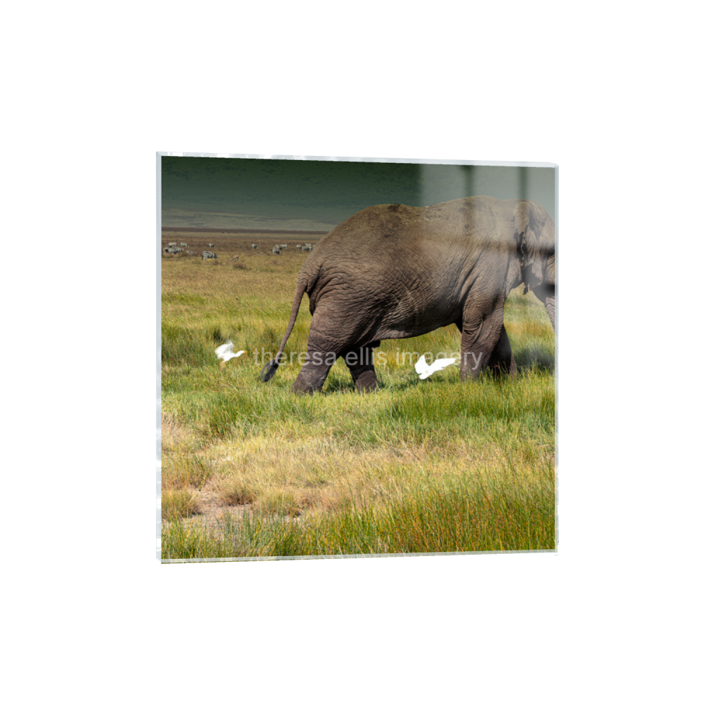 ptq_17_0_1167_0_4054_4054_0_false_ffffff_0_0_5c8a65ded2a0bd5ee7c2169a49639388.png