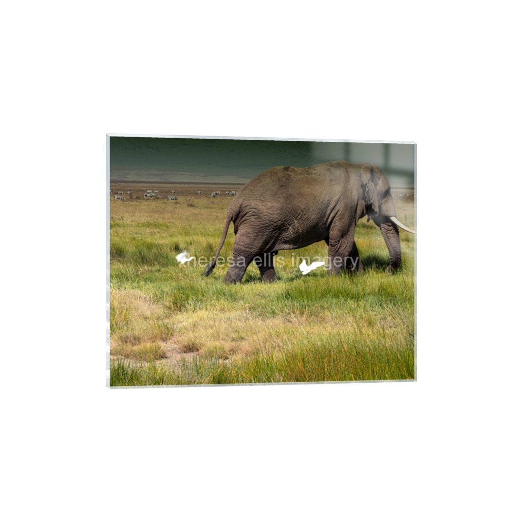 ptq_17_6_660_0_5067_4054_0_false_ffffff_0_0_5c8a65ded2a0bd5ee7c2169a49639388.png