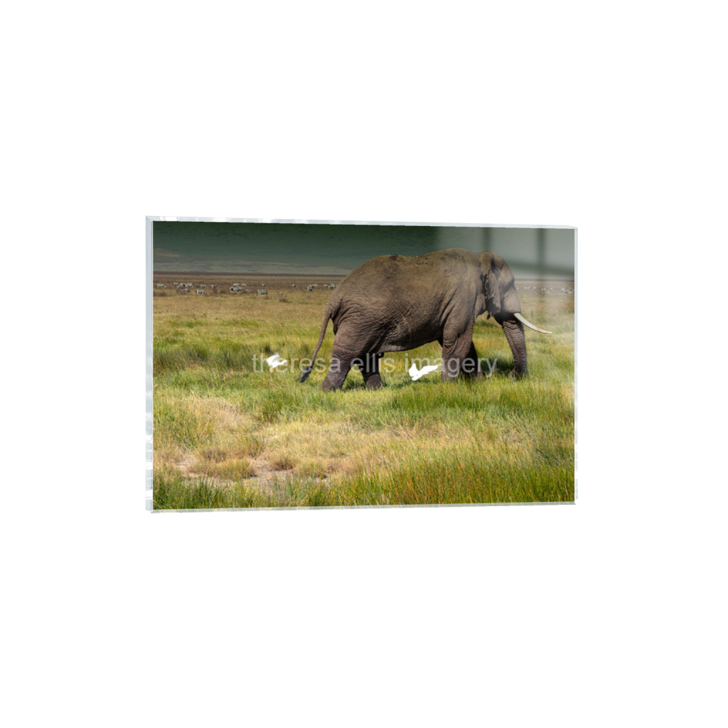 ptq_17_3_153_0_6081_4054_0_false_ffffff_0_0_5c8a65ded2a0bd5ee7c2169a49639388.png