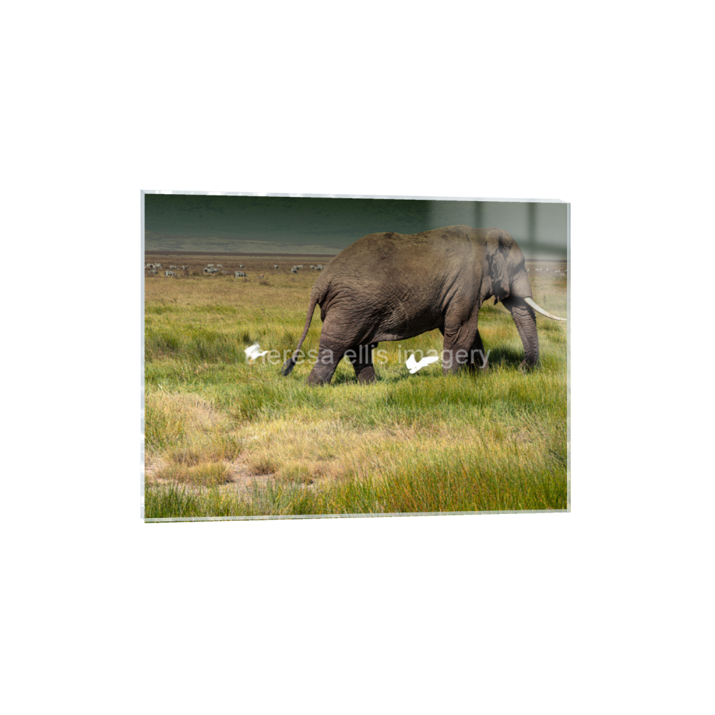 ptq_17_5_491_0_5405_4054_0_false_ffffff_0_0_5c8a65ded2a0bd5ee7c2169a49639388.png