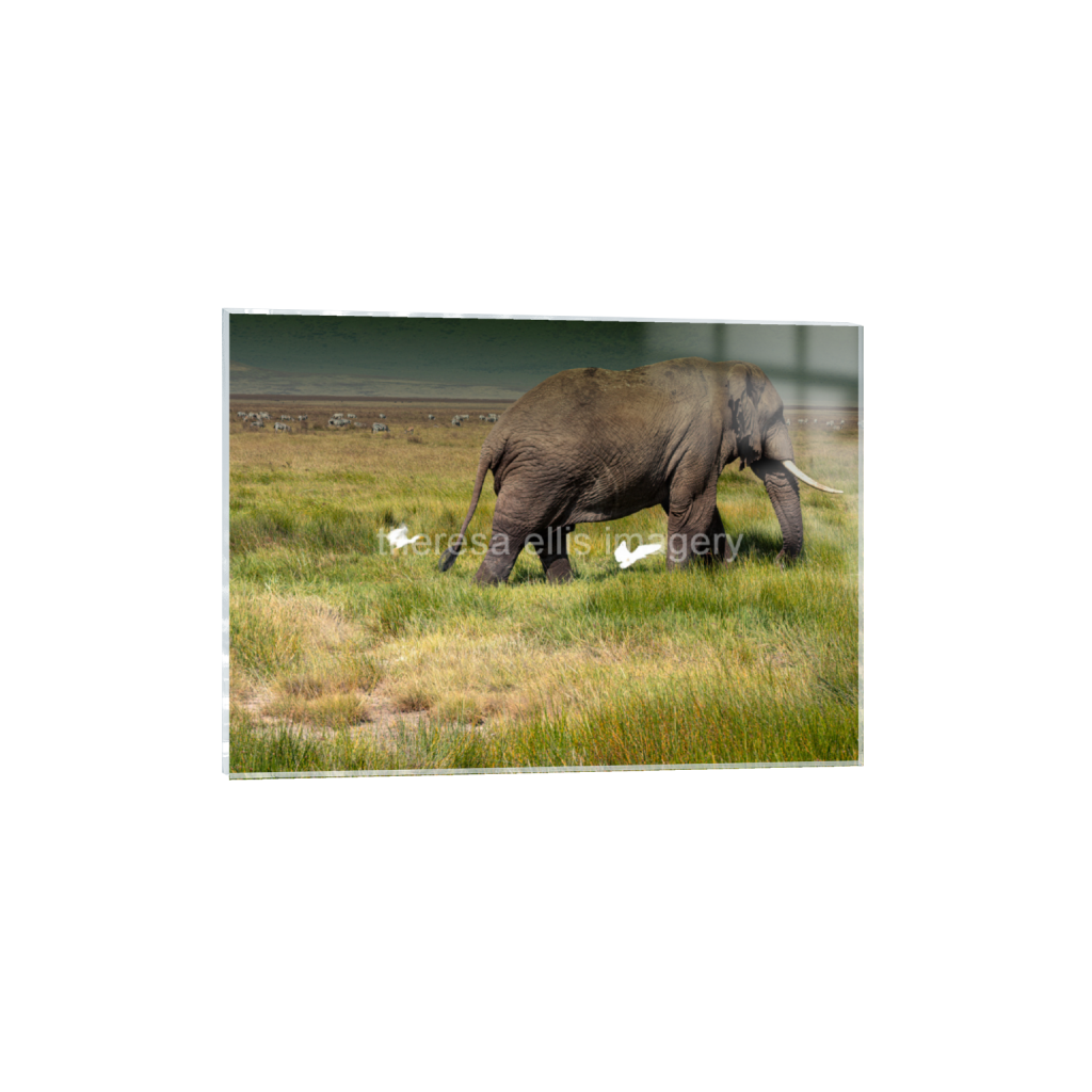 ptq_17_7_356_0_5675_4054_0_false_ffffff_0_0_5c8a65ded2a0bd5ee7c2169a49639388.png