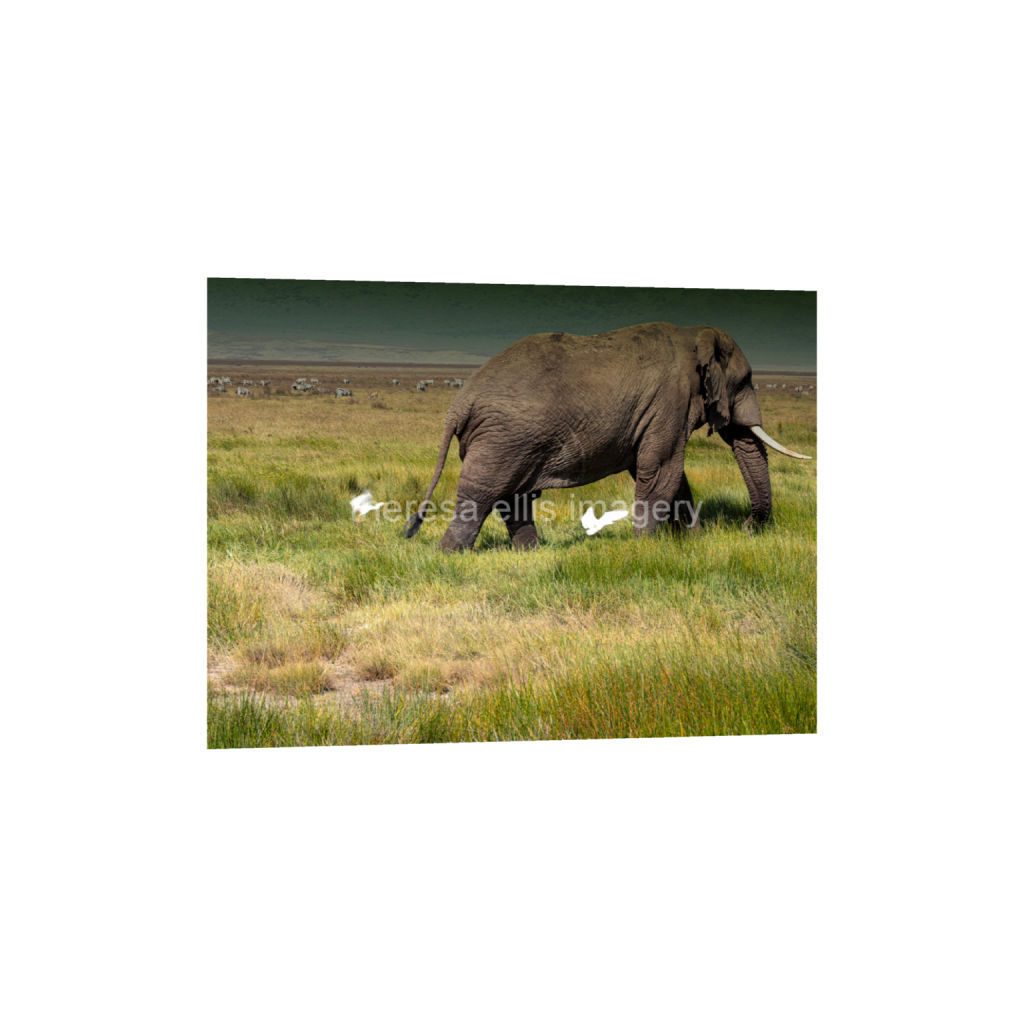 ptq_34_5_491_0_5405_4054_0_false_ffffff_0_0_5c8a65ded2a0bd5ee7c2169a49639388.png