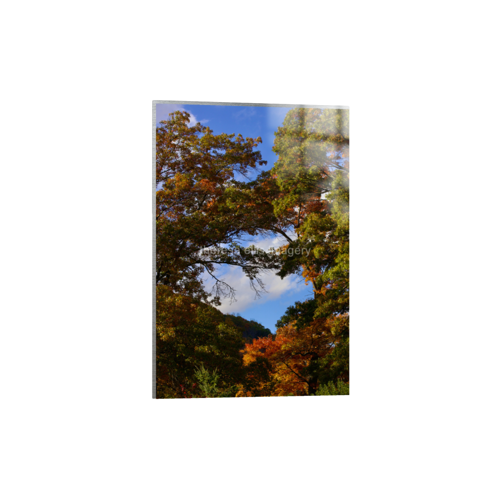 ptq_13_3_0_0_4480_6720_0_false_ffffff_0_0_5c8a65ded2a0bd5ee7c2169a49639388.png