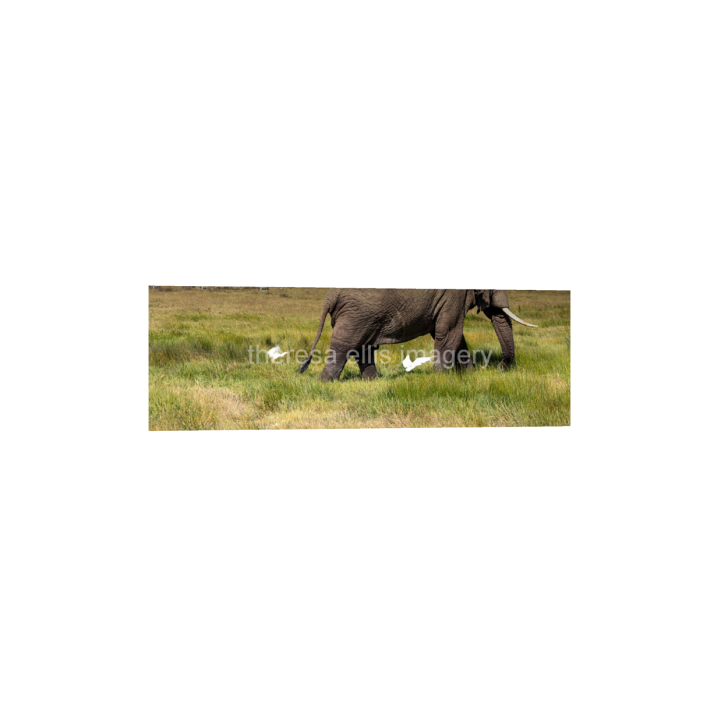 ptq_1_2_0_962_6388_2129_0_false_ffffff_0_0_5c8a65ded2a0bd5ee7c2169a49639388.png