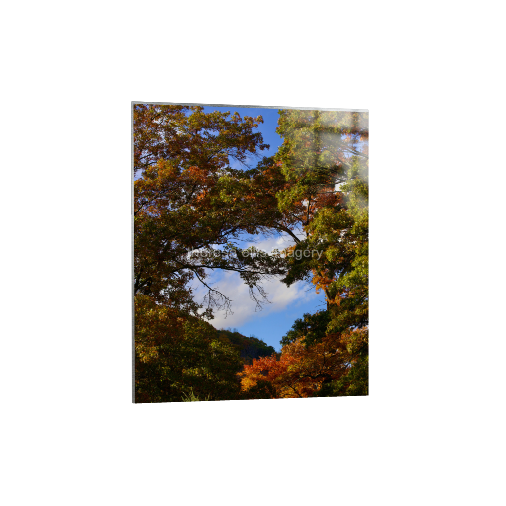 ptq_13_6_0_560_4480_5600_0_false_ffffff_0_0_5c8a65ded2a0bd5ee7c2169a49639388.png