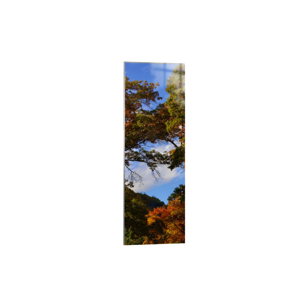 ptq_13_2_1120_0_2240_6720_0_false_ffffff_0_0_5c8a65ded2a0bd5ee7c2169a49639388.png