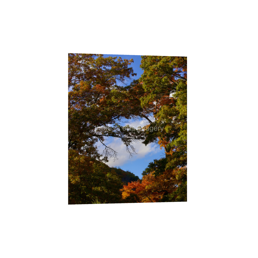ptq_34_6_0_560_4480_5600_0_false_ffffff_0_0_5c8a65ded2a0bd5ee7c2169a49639388.png