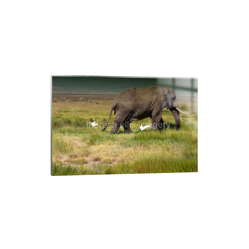 ptq_13_3_153_0_6081_4054_0_false_ffffff_0_0_5c8a65ded2a0bd5ee7c2169a49639388.png