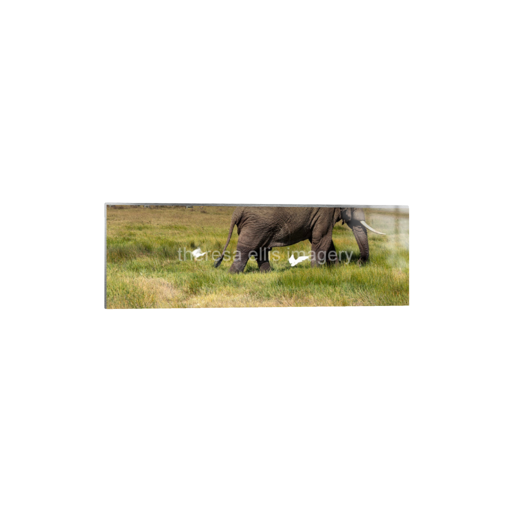ptq_13_2_0_962_6388_2129_0_false_ffffff_0_0_5c8a65ded2a0bd5ee7c2169a49639388.png