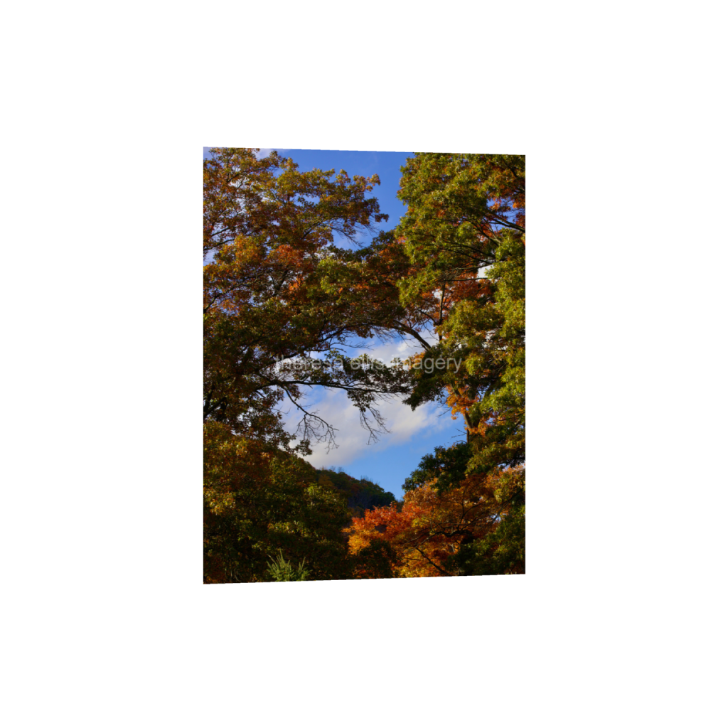 ptq_34_5_0_373_4480_5973_0_false_ffffff_0_0_5c8a65ded2a0bd5ee7c2169a49639388.png